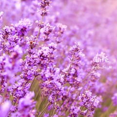 Life (for My Mother)|Music for piano solo