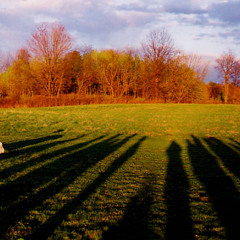 UMass Sunwheel