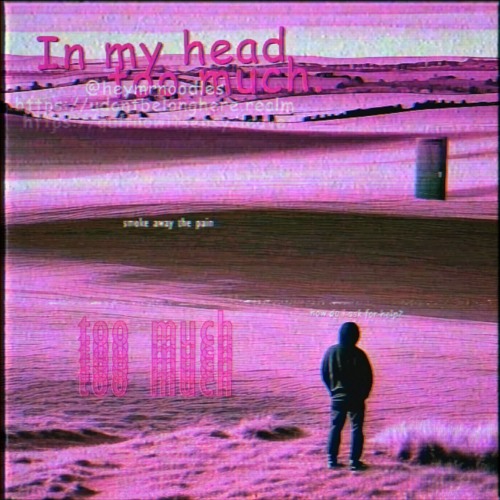 In my head too much (prod. sunsetzer0)