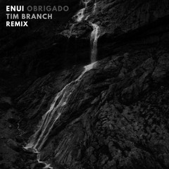 Enui - Obrigado (Tim Branch Remix)