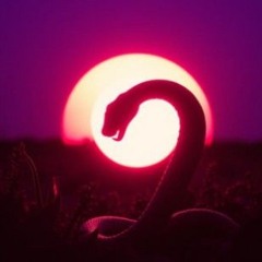 She Calls in the Night (Wisdom Cry).flac