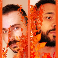 FT003 | Fawks x MilosGilic | Canopy Form