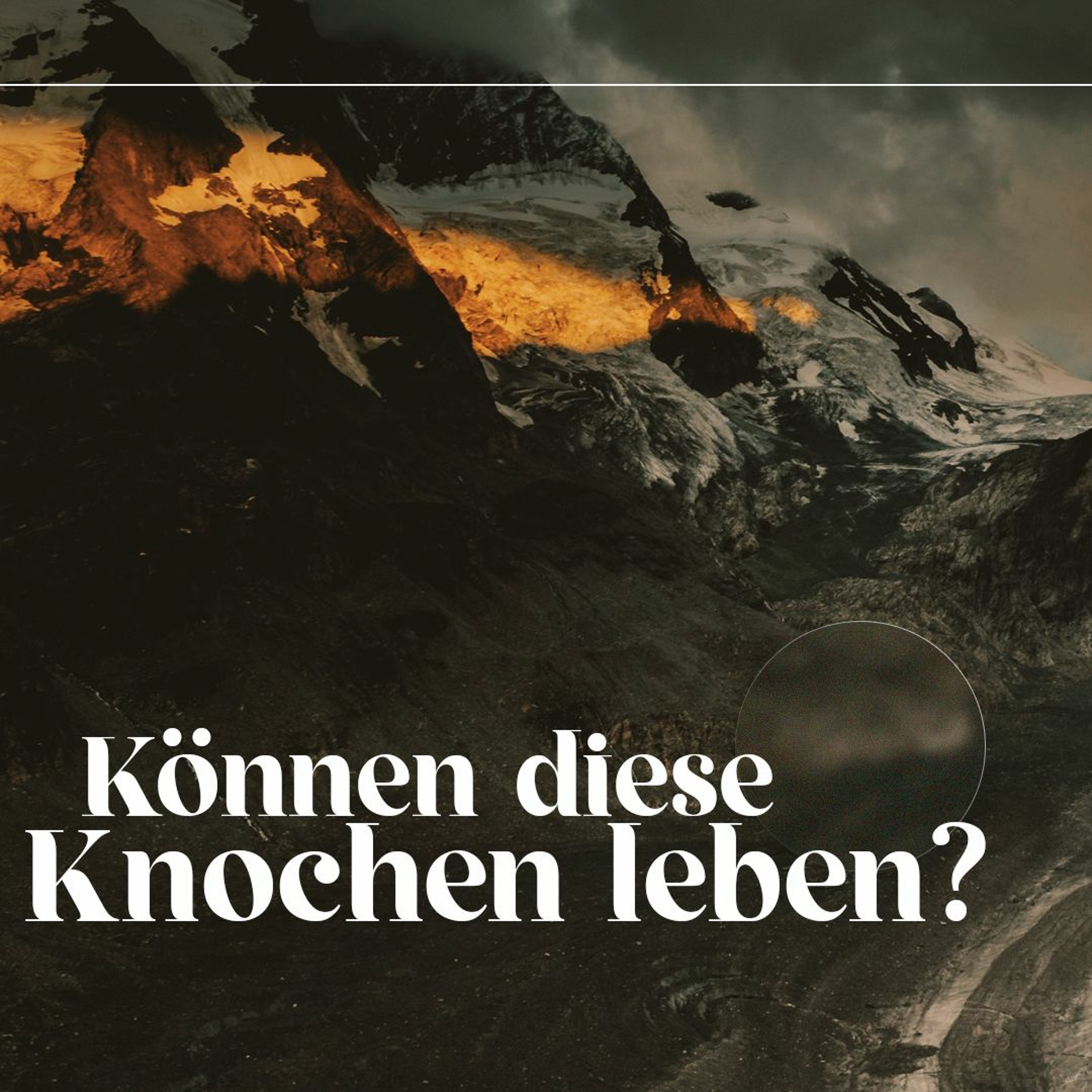 23/05/14 | Können diese Knochen leben? | Dave Schnitter episode artwork