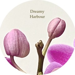 Dreamy Harbour