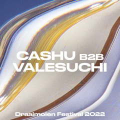 Cashu B2b Valesuchi at Draaimolen Festival 2022