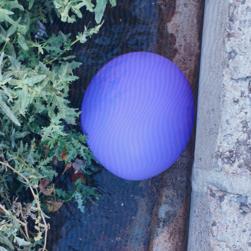 Dreams (Prod. drip-133)