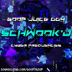 Goof Juice 004: Schwook'd - Cyber Frequencies