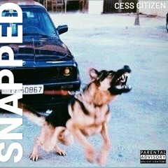 Snapped Freestyle (Sweetsixteen Singles)