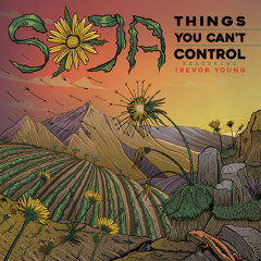 Things You Can't Control (feat. Trevor Young)