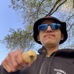 The force is my guide