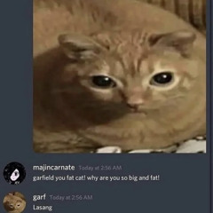 cat_song
