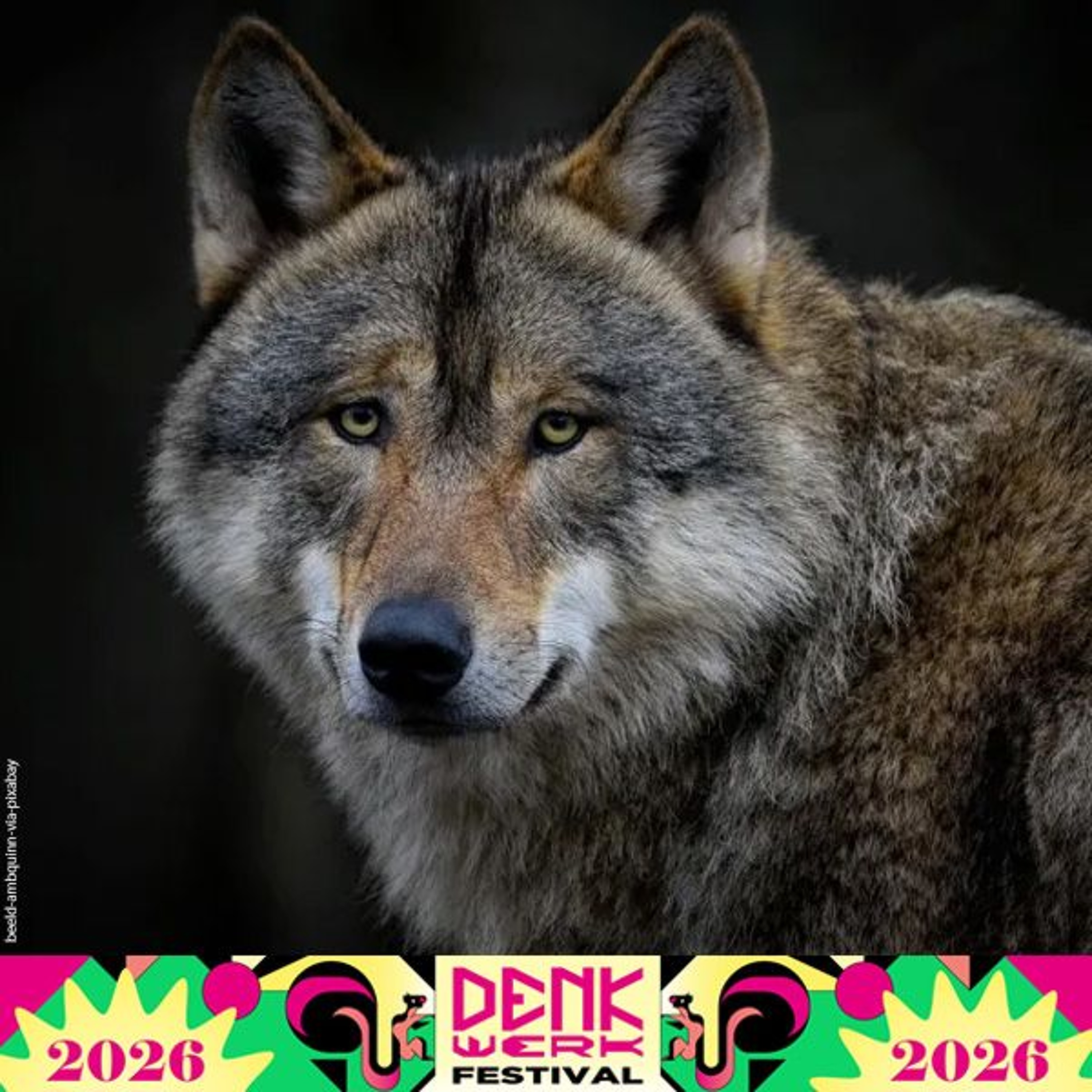 De probleemwolf | Milieufilosoof Martin Drenthen