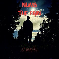 NUMB THE PAIN