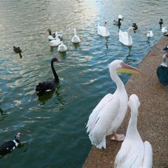 DanyMuse - Кто Ты