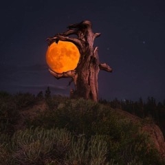 DJ ANDAIKAN JODOH - NAZIA MARWIANA