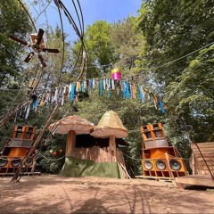 Jikaro@komod23 Fungiforest