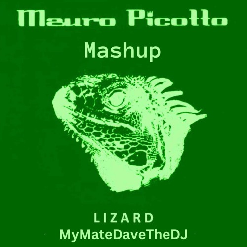 Good Life Lizard Mashup (Mauro Picotto Vs Inner City)