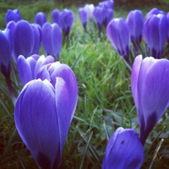 I Could Never Take The Place Of Your Man (Prince acoustic jam)