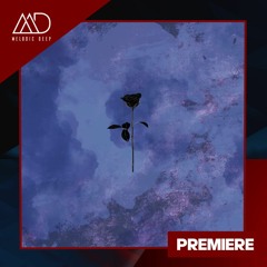 PREMIERE: Lexer - Dawn Beyond (Original Mix) [Black Rose]