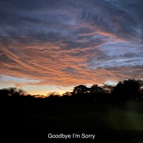 Goodbye I’m Sorry (Prod. Jaxxee))