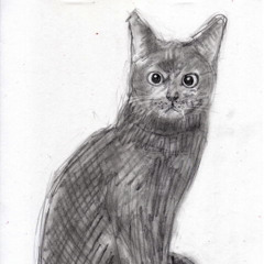 6 Cats Groove