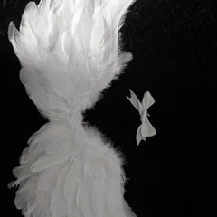 Selenite (Surreal_dvd)