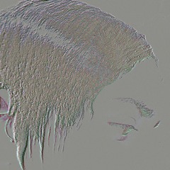 bonus track-  aisatana [102] by aphex twin