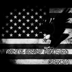 GINJA - FREEBIRD (REMIX)