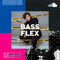 New Bass Heat: Bass Flex