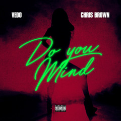 Vedo & Chris Brown - Do You Mind