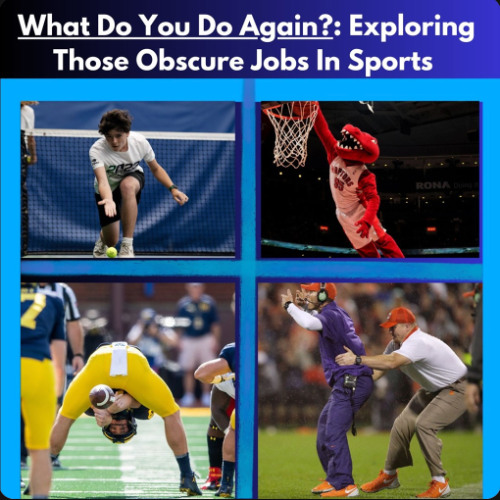 What Do You Do Again? - "Longsnappers Part 2"