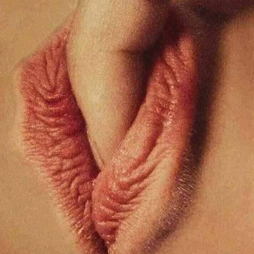 S - Eimo - Đời Huynh Đệ Lớn Hơn Trời (生兄弟大過天)