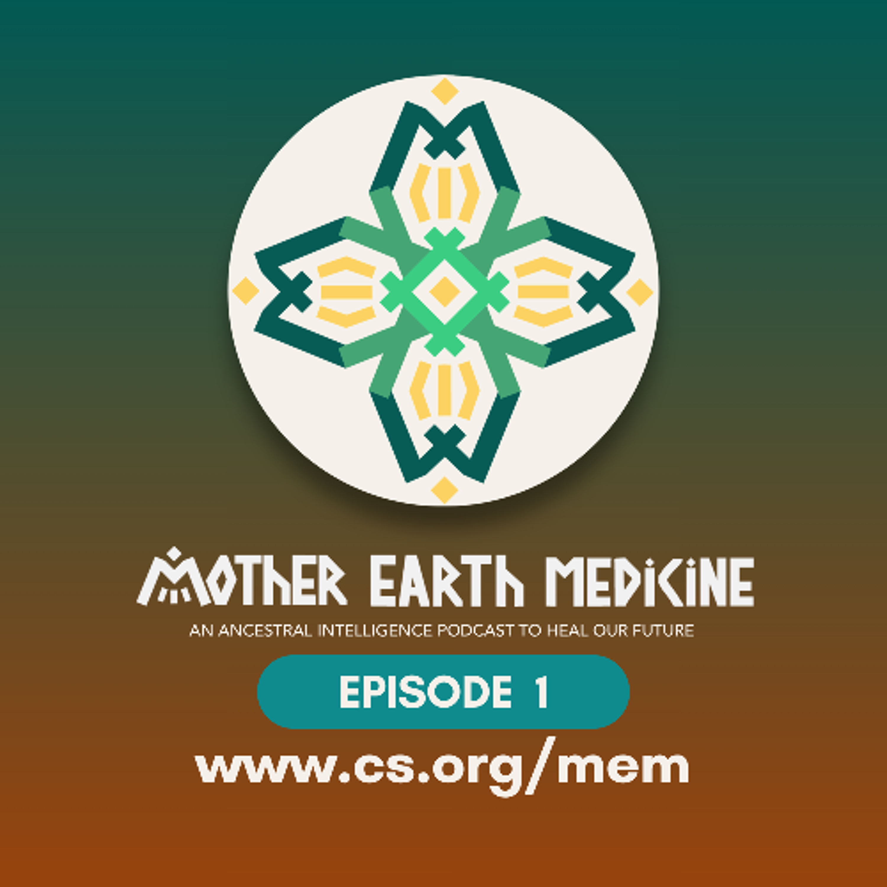 Mother Earth Medicine Podcast - Episode 1 - Healing Our Future