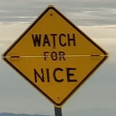 The Others ft. raccoon3eyes