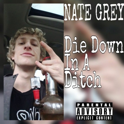 Die Down In A Ditch(Area Fiddy One) [Prod. Yung Sweaty Hands]