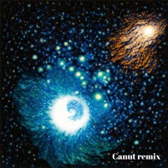 John Summit & Hayla - Shiver (Canut Remix)