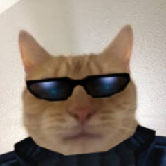 Kat Tracks #3 - Sykat (Wacky Wednesday 9/22/2023)