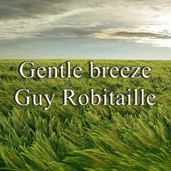 Gentle breeze