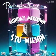 #216 Profound Radio  Progressive-Melodic House  @djstuwilson