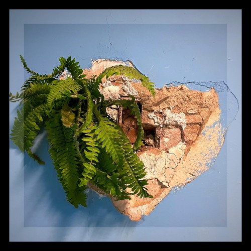 PHM - Introspection