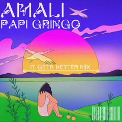 Papi Gringo B2B AMali - Mix