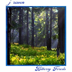 Bilberry Forests (lofi Gymnopédie)