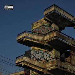 Firstborn (feat. Havoc)