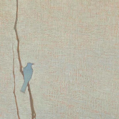 bird talk (wntr + inuyasha)