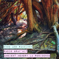 Radio Graf'hit ~ Ambient Memory la residence : Echo and Rauschen