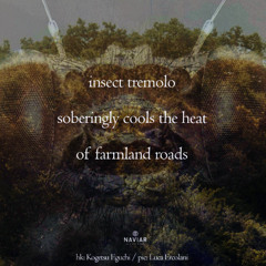 insect tremolo (naviarhaiku603)