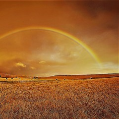 Secret Summer Ft Virta Nerva