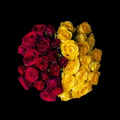 L'amour ou l'argent ?