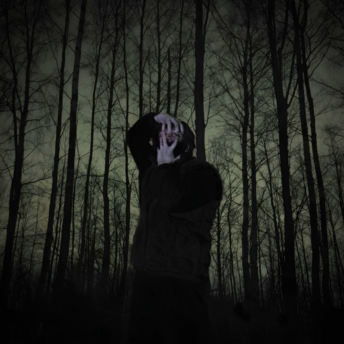 Untitled Playlist