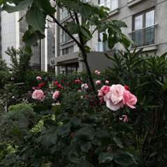 Beni Hatırladın mı? (Ambient Mix)